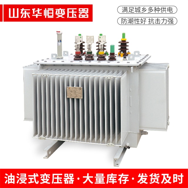 S13-10000/35扎赉诺尔扎赉诺尔扎赉诺尔电力变压器